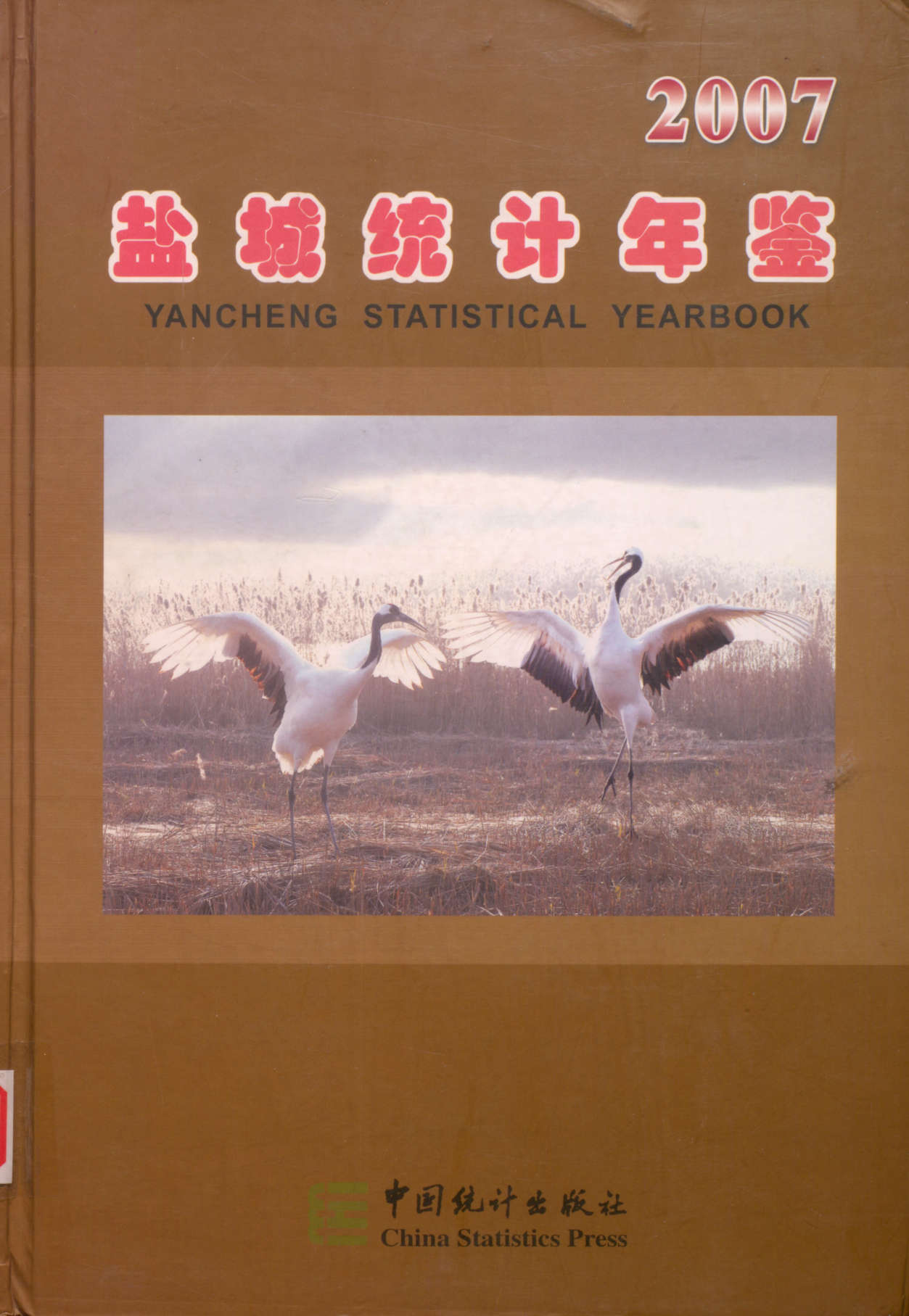 盐城统计年鉴 2007